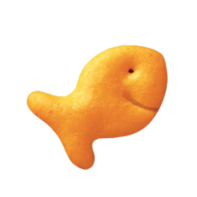 a single goldfish cracker