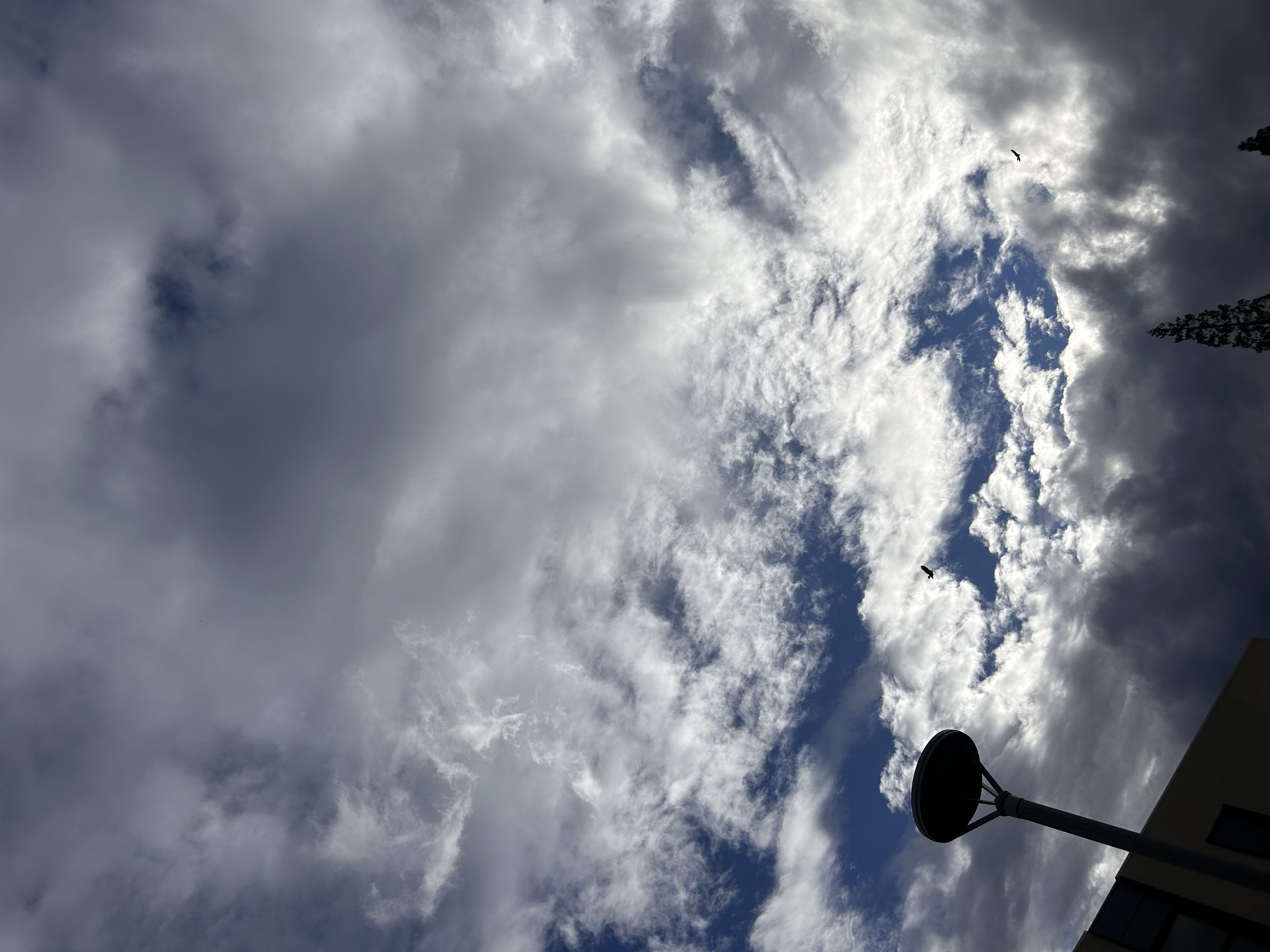 two ravens circling against a partially cloudy sky