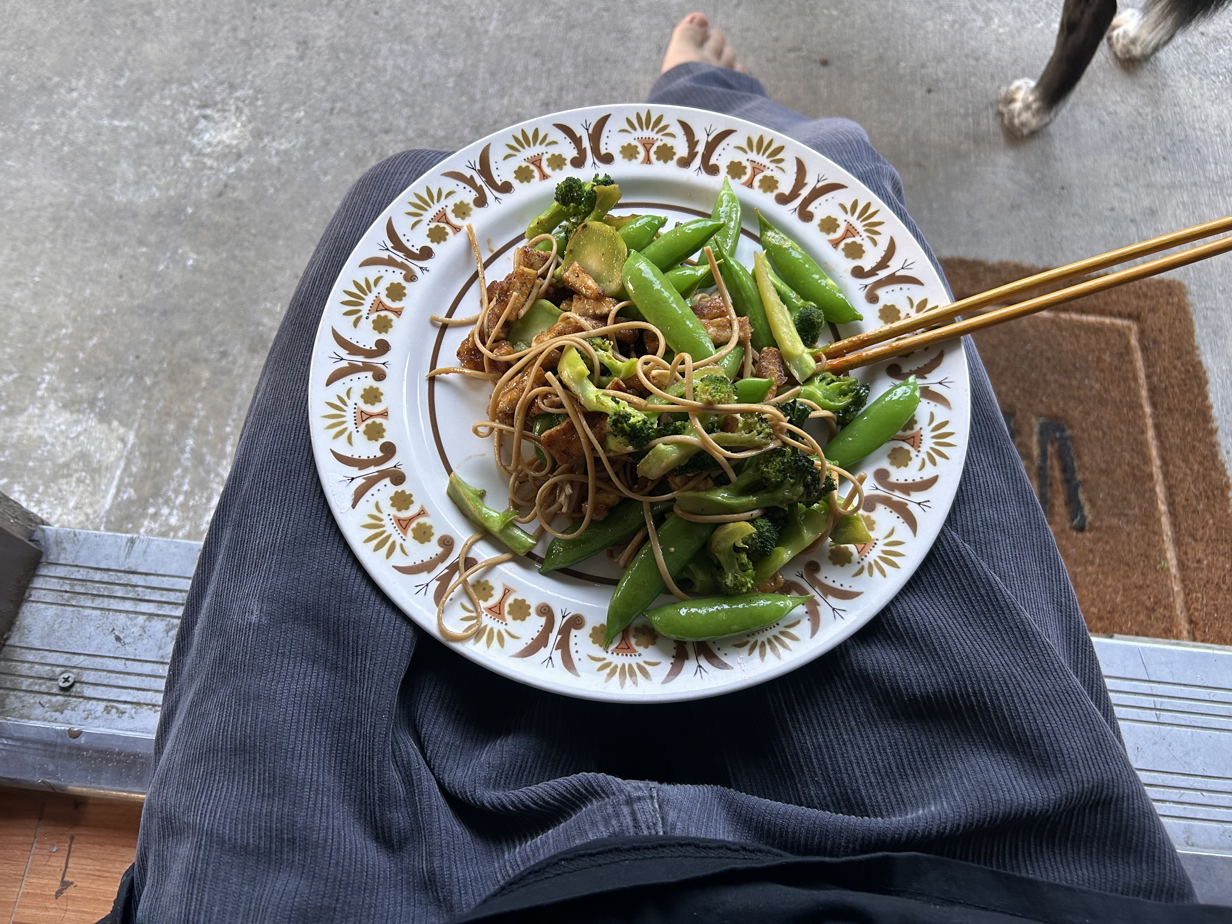 a plate of noodles with broccoli, snap peas, and tofu sitting on my lap